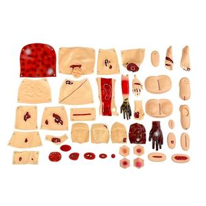 43 PCS Primeros auxilios Trauma Modelos de enfermería Juego de evaluación de trauma Simulación avanzada Juego de módulos de evaluación de Trauma - Product Image 1