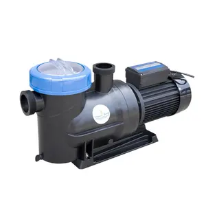 높은 리프트 모터 빗물 워터 펌프 0.5 HP 수영장 펌프