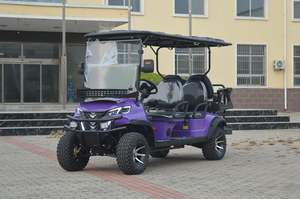 עגלת גולף חשמלית 6 מושבים בצבעים הניתנים להתאמה אישית עם מנוע עוצמתי 72V לשירות הסעות במתחם קהילתי/מועדון - Product Image 2