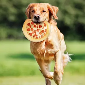 Pet Best Gift Chewing Active Biting Play Interactive Pizza-shaped Squeak Toys for Dog