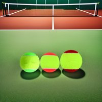 Balle de tennis professionnelle écologique à haute élasticité et durable, diamètre 65 mm, rebond 135-145 cm, poids 50 g, marque OEM, clubs sportifs