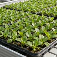 Système hydroponique de table de culture à flux et reflux, banc roulant en plastique ABS pour serres agricoles, fourni par l'usine