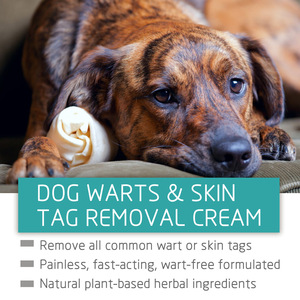 犬の皮膚の表面ケア用、マイルドで痛みのない高度なスキンケア液滴 - Product Image 3