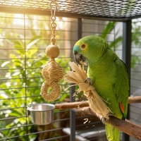 Jouet à mâcher pour oiseaux en ficelle |   Jouet de forrage biologique non toxique pour perroquets et ara |   Jouet écologique pour l'entretien des becs des oiseaux, vente en gros