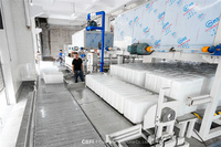 Usine de production de blocs de glace industrielle CBFI de 20 tonnes, conteneurisée, à refroidissement direct, avec compresseur de 5 kW, économie d'énergie