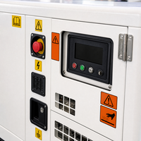 Groupe électrogène diesel de type ouvert 250 kVA, usage intensif, triphasé 400 V, pour l'alimentation des sites miniers