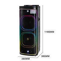 Altavoces DJ BT CH-21206 de Última Generación con Doble Woofer de 12 Pulgadas, 100W, TWS, RGB LED y Micrófonos Inalámbricos Dobles