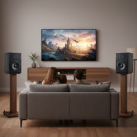 Samtronic Enceintes bibliothèque 6,5 pouces 2.0 canaux V5.3 300W, Moniteur de studio audio bidirectionnel avec crossover, pour Home Cinéma et Musique Hi-Fi
