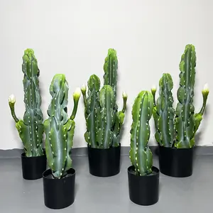 Piccola pianta in vaso succulenta di cactus artificiale all'ingrosso della fabbrica - Product Image 1