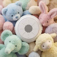 Module vocal enregistrable personnalisé pour enfants autistes de 2 à 4 ans, apaisant sensoriel avec vibration, animaux électroniques