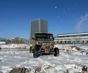 Véhicule tout-terrain 4x4 UTV Buggy 1000cc de haute qualité, refroidi par eau, Side-by-Side, <span class=keywords><strong>Quad</strong></span> 4 roues motrices, chauffant, état neuf, en acier, en promotion - Product Image 2