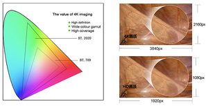 Instrumentos Laparoscópicos de VIDEO 4K Equipo de Urología de endoscopia eléctrica para cirugía abdominal Metal - Product Image 3