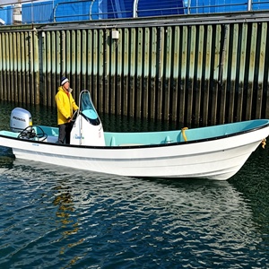 Grandsea - Barco de Pesca de Fibra de Vidrio Económico de 23 pies, Tipo Wasen Panga, en Venta - Product Image 3