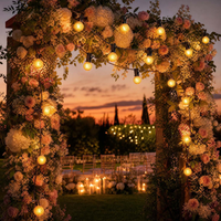 Guirlandes lumineuses LED multifonctions solaires en plastique imperméables IP44 pour la décoration de jardin