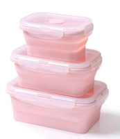 Boîte à lunch en silicone sans BPA pour enfants et adultes Conteneur de stockage des aliments pliant Rectangle Bento Box Lunchbox Lonchera