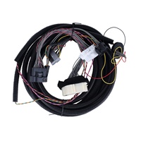 Faisceau de câbles automobile sur mesure, assemblage de câbles, gaine de câblage ondulée, connecteurs multiples, OEM ODM pour véhicule
