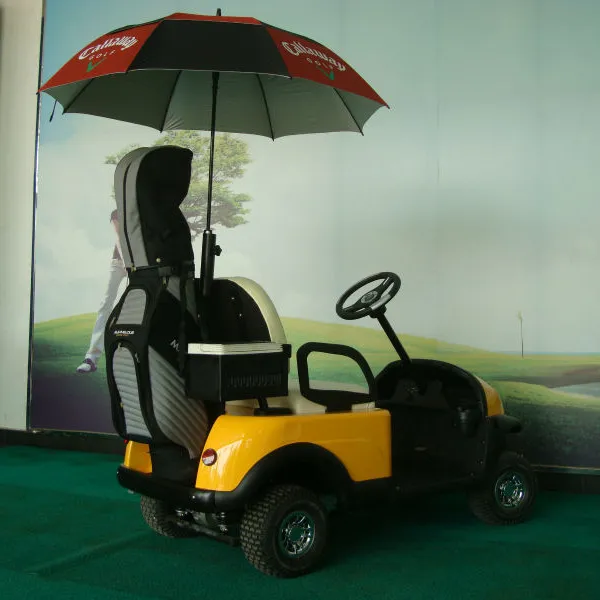 Ein Sitz Elektro Golf Buggy Elektroauto mit Curtis Controller