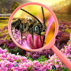 Lectura para personas mayores Niños Exploración <span class=keywords><strong>de</strong></span> la naturaleza Lectura manual 60mm Diámetro <span class=keywords><strong>de</strong></span> la lente 3X Lupas - Product Image 4