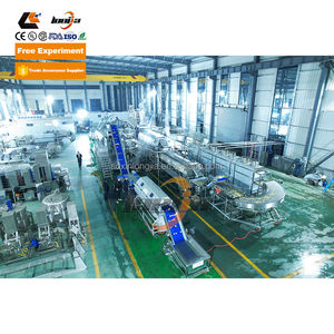 Machine à éplucher <span class=keywords><strong>les</strong></span> pommes de terre 500-1000 kg/h, machine à laver <span class=keywords><strong>les</strong></span> pommes de terre, machine à <span class=keywords><strong>faire</strong></span> des <span class=keywords><strong>frites</strong></span>, ligne de production de pommes de terre surgelées - Product Image 4