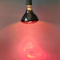 Lampe chauffante infrarouge à économie d'énergie, ampoule d'élevage 100W 150W 200W 250W, lampe chauffante pour animaux de compagnie, poulets, porcs, animaux