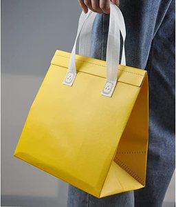 Sac isotherme pour boissons et aliments, garde au chaud/au froid, sacs non tissés pour livraison à emporter avec votre logo - Product Image 5