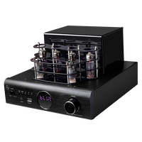 Amplificateur de puissance HIFI Hypersound AV-2080R 500W 2.0 canaux à tubes pour home cinéma, audio numérique avec contrôle des aigus et des basses pour enceintes