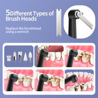 Polisseur dentaire léger Rongzhou, outil électrique de blanchiment des dents avec brosse, gobelet et disques pour usage domestique et soins personnels