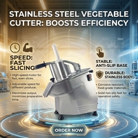 Lame de coupe de légumes commerciale Hualing, moteur 550W 110V/220V, disques de découpe pour usine de transformation de légumes, multifonctionnel Hu4