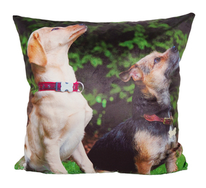 Funda de Cojín Decorativa para Sofá con Estampado de Perro por Sublimación, Venta Caliente 2026, Fundas de Cojín Personalizadas - Product Image 6