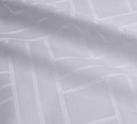 Dernier design, prix raisonnable, tissu de drap d'hôtel en coton pur tissé jacquard blanc