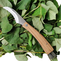 Couteau de greffage et de cueillette de champignons en bois de rose, lame en acier à haute teneur en carbone de 6 cm, portable pour le camping, vente en gros du fabricant