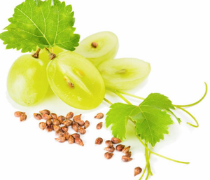 ผงสารสกัดจากเมล็ดองุ่นผงเมล็ดองุ่น <span class=keywords><strong>Vitis</strong></span> <span class=keywords><strong>Vinifera</strong></span> - Product Image 2