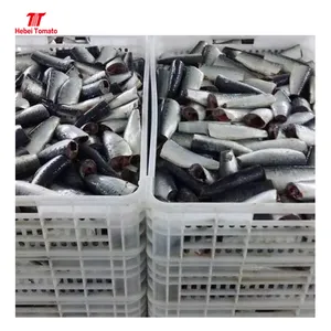 Factory Supplier Low Price Canned Sardines And Canned Mackerel In Tomato Sauce