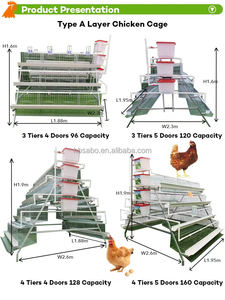 Jaula de Acero Galvanizado para Gallinas Ponedoras, Tipo A, Equipo Automático para Granjas Avícolas, Jaula para Gallos, Kandang Ayam, Jaula para Aves de Corral - Product Image 5
