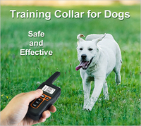 Hundetraining Verhaltenskorrektur Schock-Hundehalsband LCD-Bildschirm Schnellaufladung Ergonomisches Design Wasserdicht IPX7 Kunststoff Innen- und Außenbereich