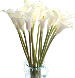 Venta Directa de Fábrica, Flor Artificial de Lirio de Cala, Tacto Realista, Tallo Individual, Decoración para Bodas y Hogar, para Arreglos Florales - Product Image 1