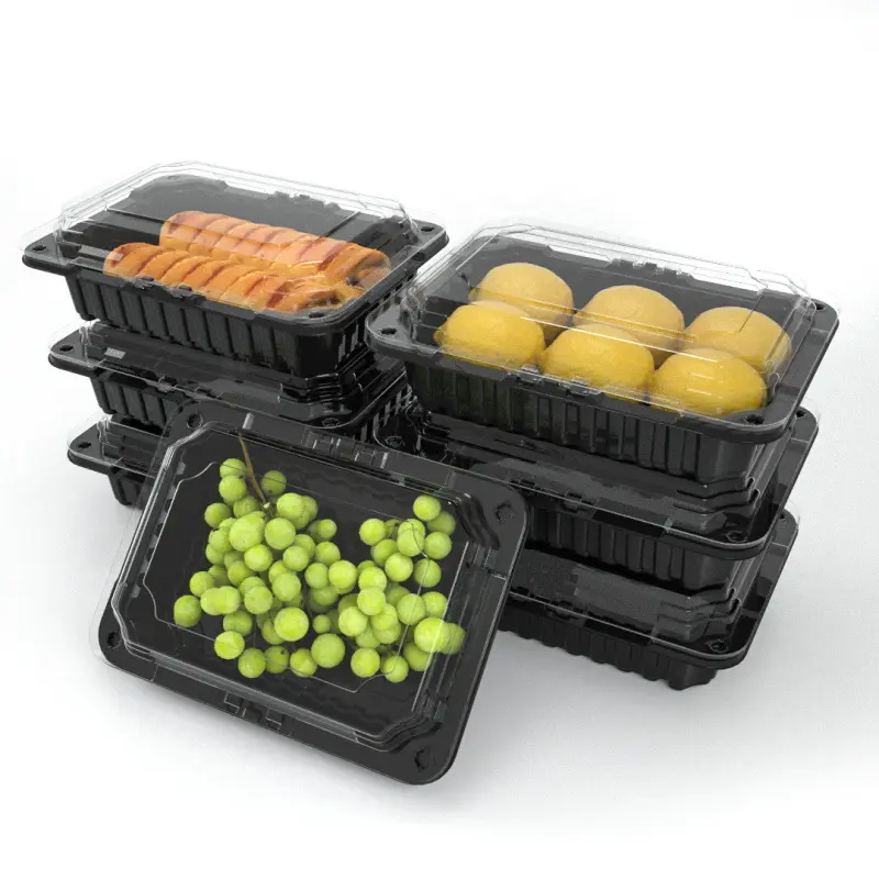 Einweg klar transparent PET Kunststoff Frisch obst Gemüse Pilz Verpackung Box Lebensmittel Display Behälter Clam shell Boxen