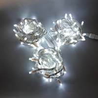 Guirlandes lumineuses LED blanches en PVC, blanc froid, max. 100 m, 1000 LED, connectables, IP67, qualité commerciale, robustes, éclairage extérieur