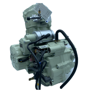 Tricycle de haute qualité, moteur 4 temps refroidi par eau CG200cc, super cool, trois roues, moto 200cc, ensemble complet, moteur Assy Moto 200cc - Product Image 2