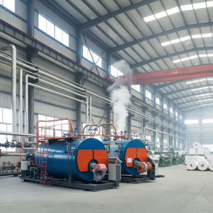 <span class=keywords><strong>Chaudière</strong></span> à vapeur à gaz ou à <span class=keywords><strong>mazout</strong></span> de la série WNS, capacité d'évaporation nominale de 0,3 à 10 t/h, avec condenseur, directement de l'usine - Product Image 5