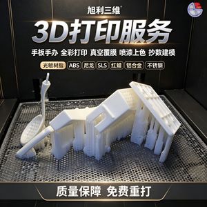 Servicio de Impresión 3D Xuli, Ingeniería Inversa de Modelos, Diseño Industrial Personalizado, Moldeo Integrado - Product Image 2