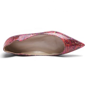 Chinese Style <b>Flats</b> <b>Pointed</b> <b>Toe</b> for Women Girl Flower Print <b>Flat</b> Pumps Loafers Walking Dress Office Lady Comfortable <b>Flats</b> - Product Image 5