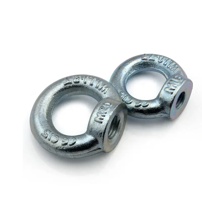 Stainless Steel Eye Nut with DIN582 Standard