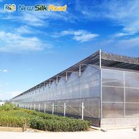 Serre agricole multi-chapelles Nsr de grande taille avec système hydroponique et toiture en polycarbonate