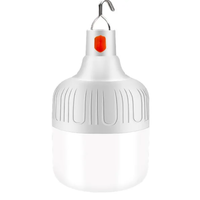 Charge USB Longue durée de fonctionnement 4800mAh Batterie Toit clignotant 10 20 30 40 50W Vente en gros Rechargeable Led Ampoule Urgence