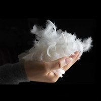 Insert de noyau d'oreiller personnalisé à bon prix noyau d'oreiller en velours insert d'oreiller en plumes coussin de plumes intérieur