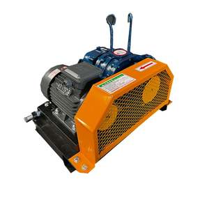 Souffleur à racines 3 monophasé pour le traitement des eaux usées avec certificats ISO9001 CE EAC - Product Image 6