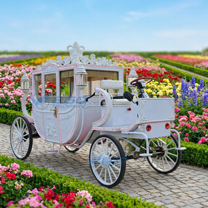 Promotion à Durée Limitée : Carrosse Électrique Royal Blanc Pur avec Bandes Lumineuses Décoratives, Haute Performance, Certifié CE - Product Image 1