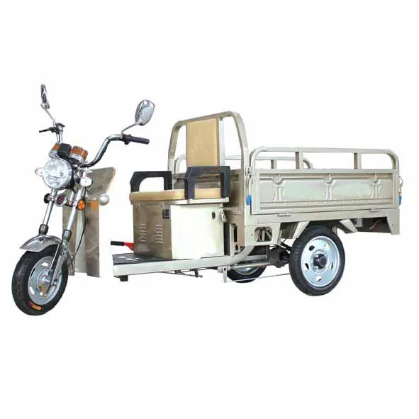 इलेक्ट्रिक कार्गो ट्राइक बिक्री के लिए वयस्कों के लिए इलेक्ट्रिक ट्राइक एक खरीदें, एक इलेक्ट्रिकल सिस्टम मोटरसाइकिल प्राप्त करें