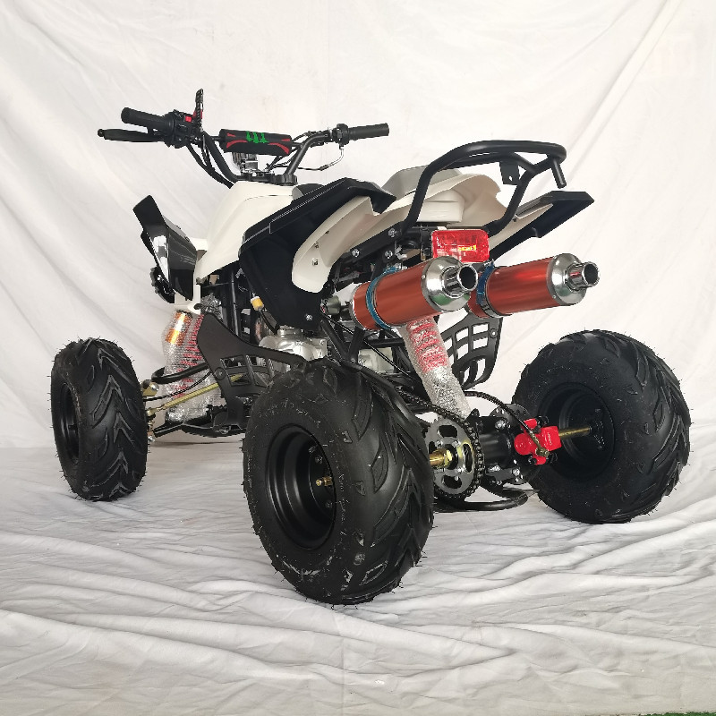 Gasoline Power Dirt Bike ATV Snow Plow Quad 4 Wheeler For Adults